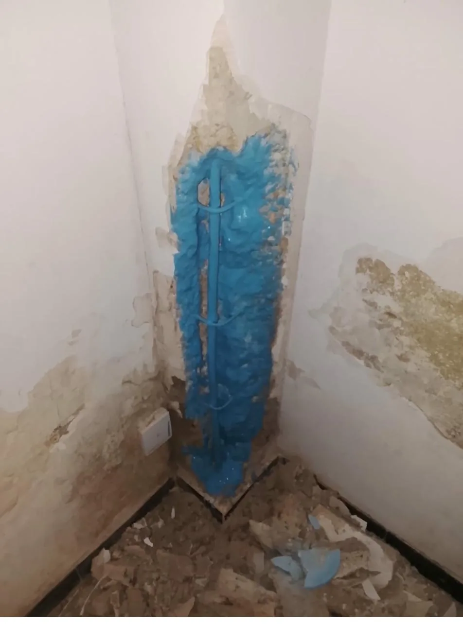 Humedad interior tratada con sistema impermeabilizante azul